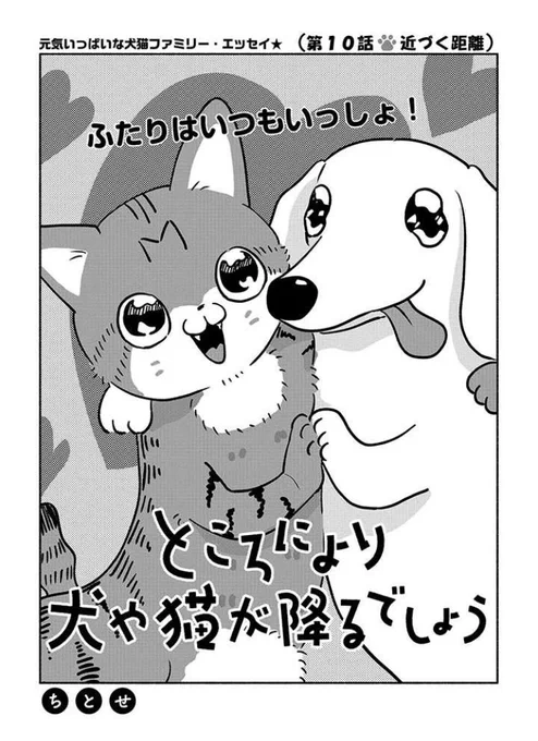 犬猫マンガ更新してました✌️  