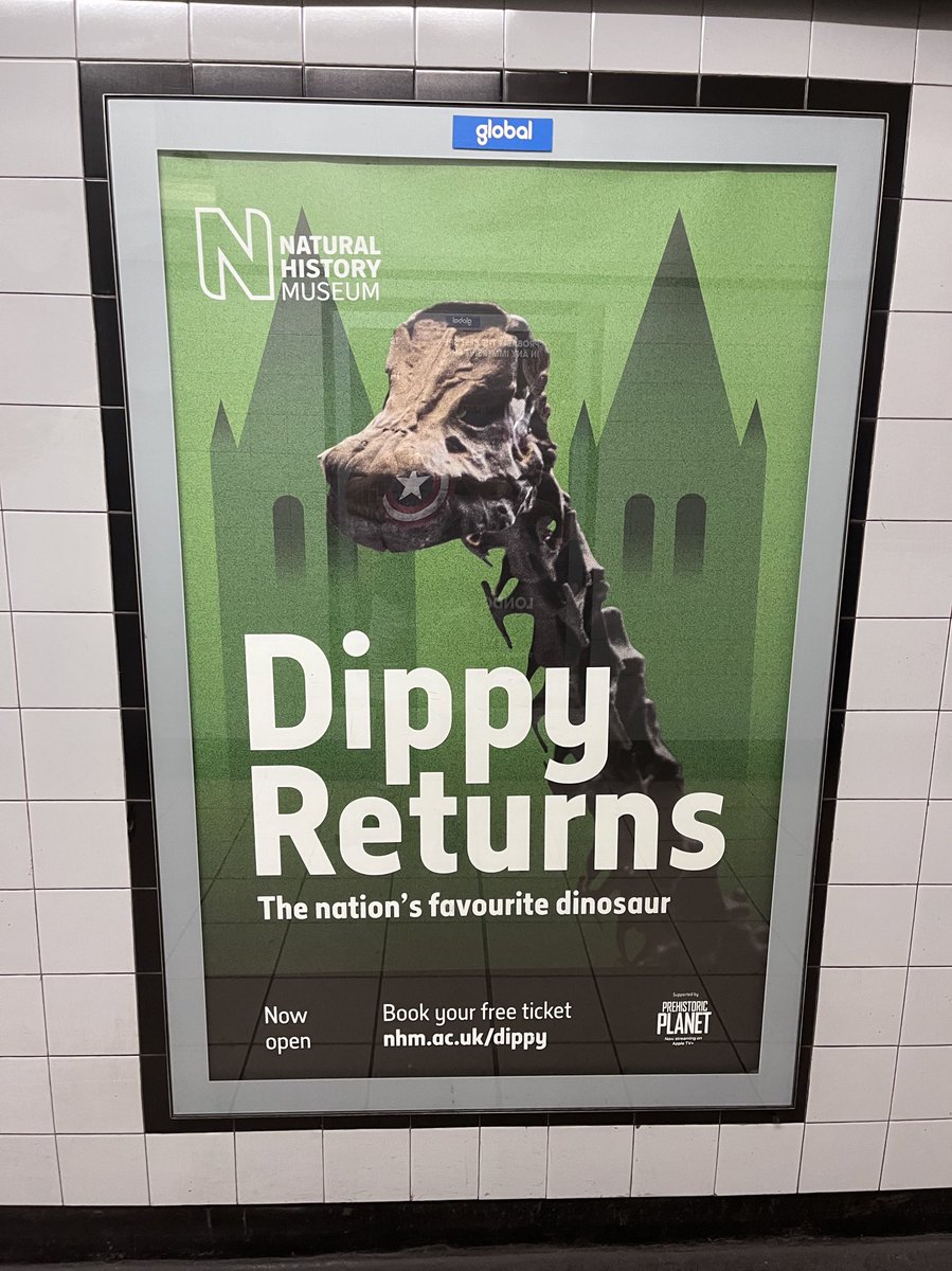 RichardAngell's tweet photo. Some great news from @NHM_London #dippyreturns https://t.co/nyc0urqVw1