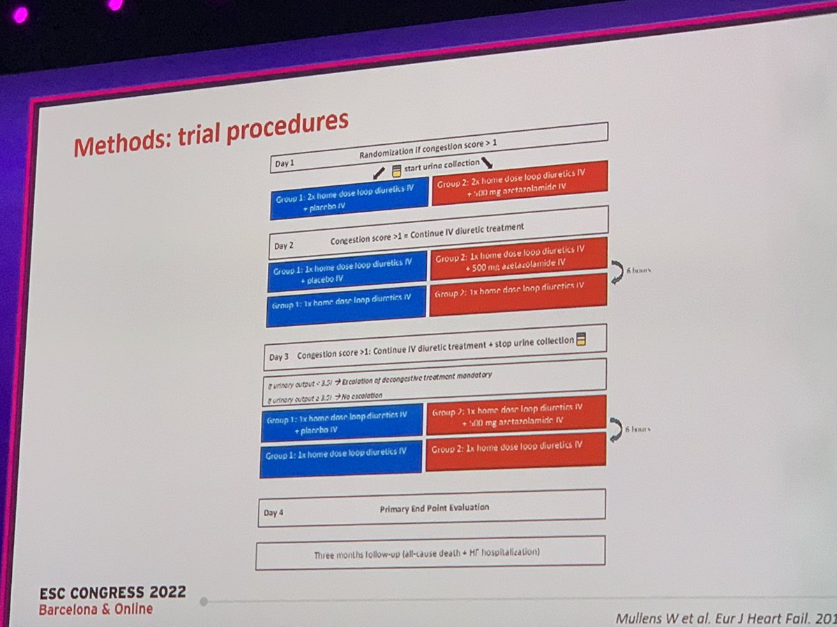 HanCardiomd's tweet photo. #ADVOR Trial - #Acetazolamide in acute #HeartFailure 

#ESCCongress @WilfriedMullens @HFA_President @BiykemB 
@ErinMichos @mirvatalasnag @CMichaelGibson @mmamas1973 @DrMarthaGulati @hvanspall @pabeda1 @ShelleyWood2 @AndrewJSauer https://t.co/SoG6n5EAch