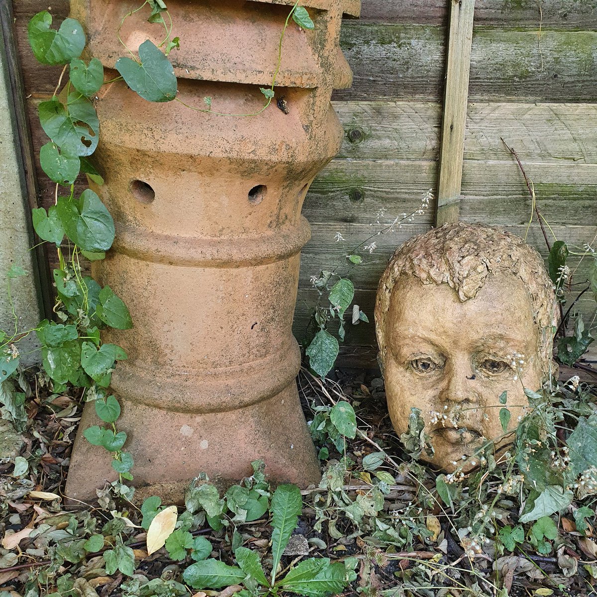 secretgardenweb's tweet photo. Love the interesting things we find tucked away in people's gardens 
💚💚💚

#gardensculpture #ceramicface #ceramichead #ceramicart #ceramicdesign #ceramics #chimneypotplanter #gardeninglove #gardeninglife #gardendesignideas #gardenmaintenance https://t.co/aK1S8dwpoL