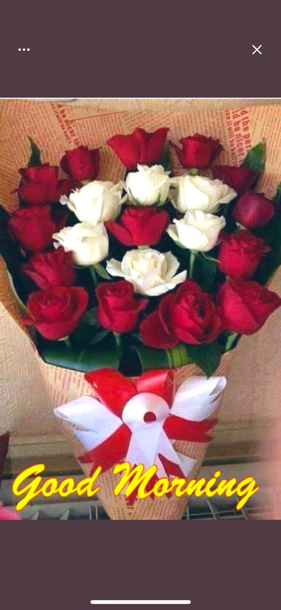 المواقف تكشف الناس  فلا تحكم على أحد من كلامه  الناس مثاليون حين يتحدثون 

صباح الورد