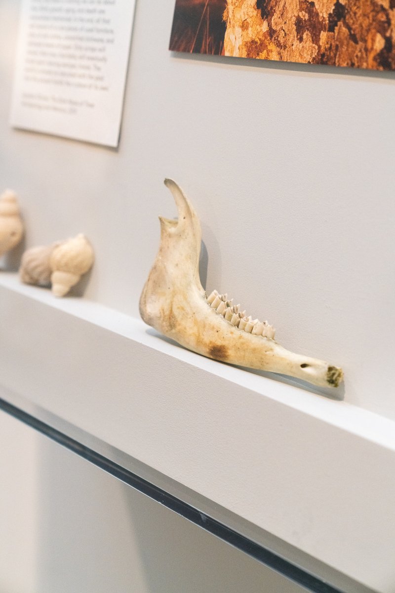 HepworthGallery's tweet photo. It is the penultimate weekend of A Core of Scar by #FutureCollect artist @emiialrai. Alrai was selected by @Iniva_arts & The Hepworth Wakefield owing to her sensitivity in navigating complex diasporic narratives & her imaginative exploration of materials.
https://t.co/sesZI7ej5d https://t.co/xWifcToNiK