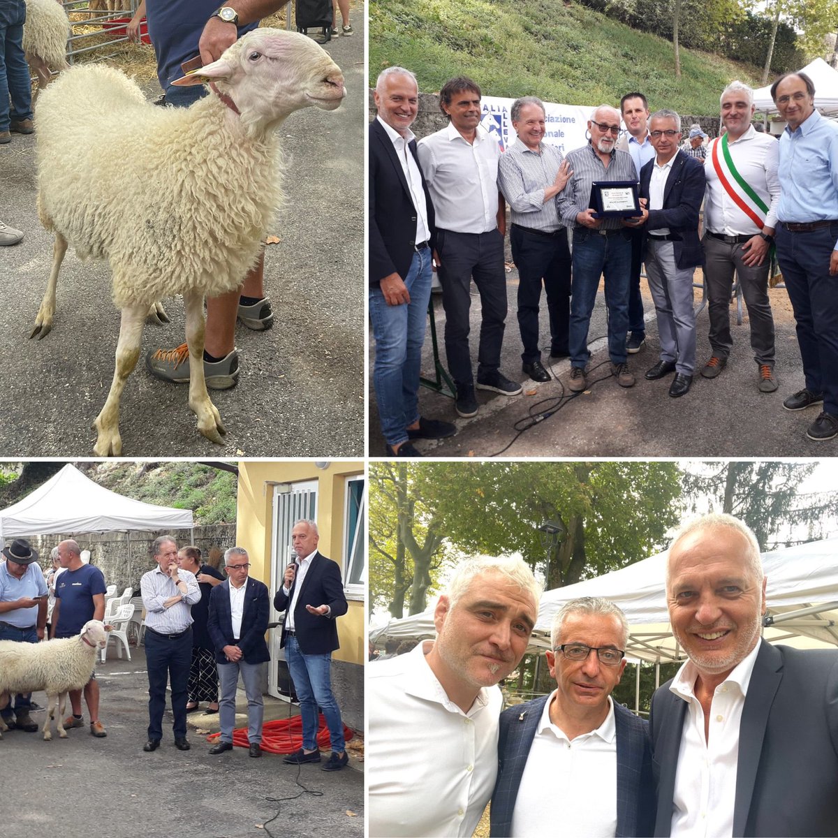 GiorgioBergesio's tweet photo. A #Murazzano per l’antica Fiera dei 30, una storica manifestazione dedicata alla pastorizia. Oggi si è svolta la mostra degli ovini di razza delle Langhe, una grande occasione per le aziende del territorio di far conoscere e valorizzare le proprie eccellenze di fronte... https://t.co/47JqwlXVTm