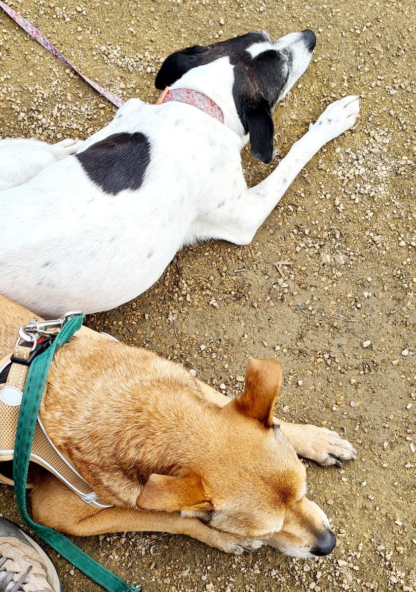 mixcloud.com/live/russell-m…
circl8radio.com
Ten till twelve Saturday Morning Northern Girl: Midlands Boy. 
Duet with The Village People. Music from Anthrax, Aretha Franklin, Blackbeards tea Party and more. <a href="/mostlywhiterose/">Beth 🏴‍☠️</a>
@Circl8Chester