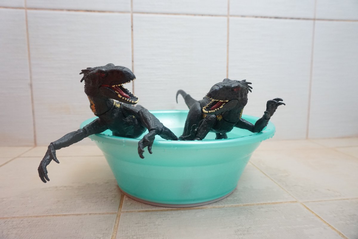 DinTyphoon's tweet photo. Take a bath

#jurassicpark #thelostworld #jurrasicworld #jurassicparkcollection #jurassic #collection #dinosaurcollection #collector #jpcollector #mattel #matteljurassicworld #toycollector #toyphotogallery #toyphotography #tigerraptor #jurassicworldtoys #indoraptor https://t.co/Tq1idnRrM4