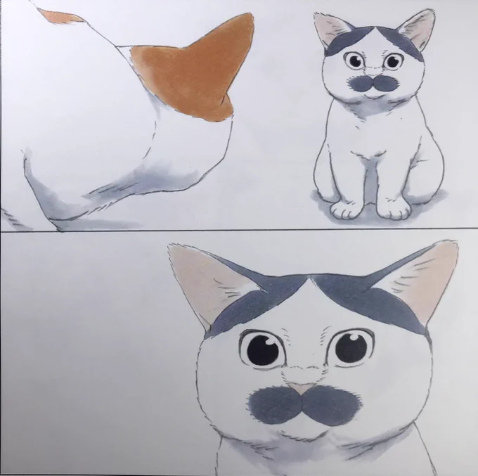 『ノリ吉のちいさな大冒険』より。全編セリフ無しでも驚くほど賑やかな猫の世界が詰まってます。猫好きさんも思わず膝を叩いて笑ってしまうような、子供達がお気に入りのアトラクションみたいに夢中になれるような、そんな会心の作品に仕上がりました。 
