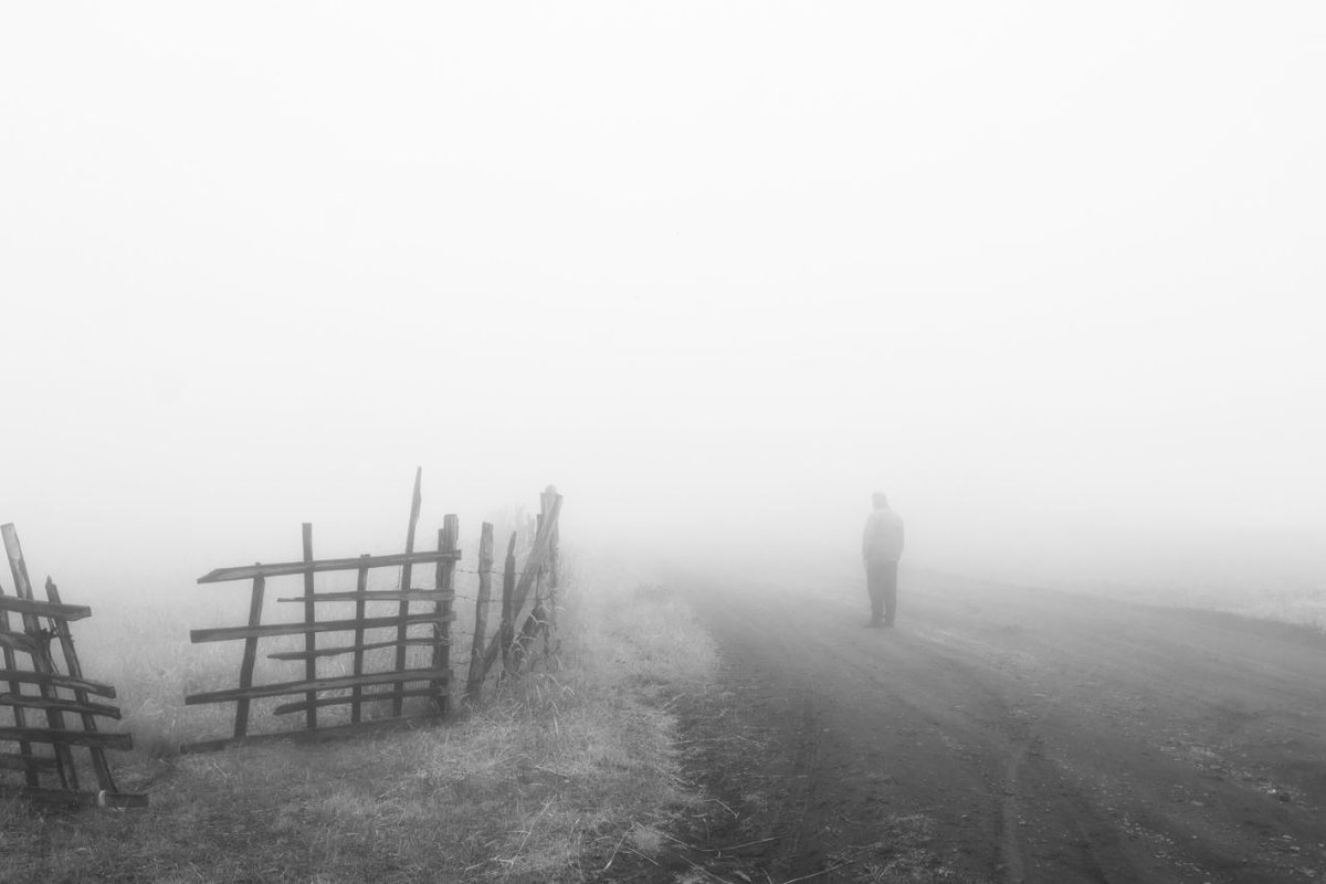 Gm fam ❤️
Wish you a good day
#nftart #NFTCommunity #nftphotography