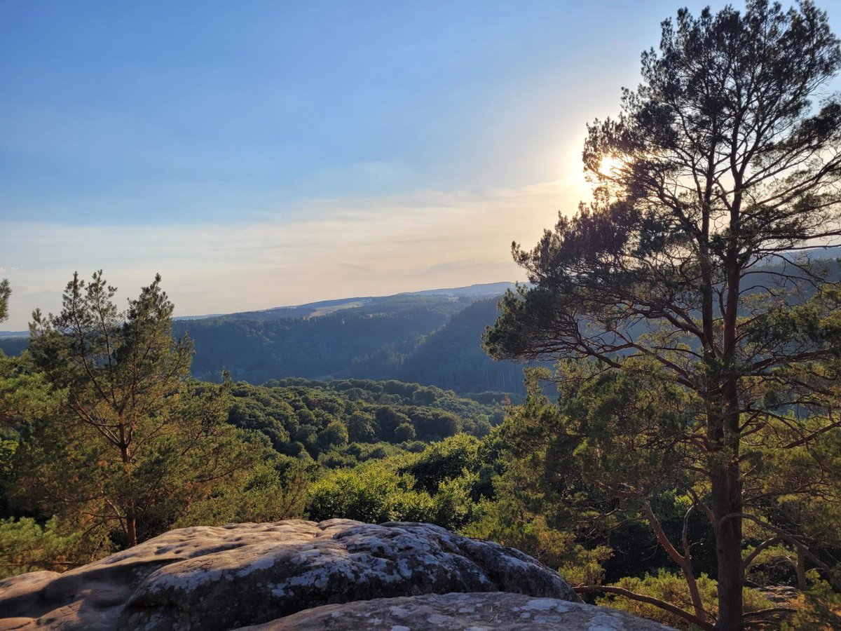 Luxembourg ist wunderschön. Besonders der Mullerthal Trail 🥰