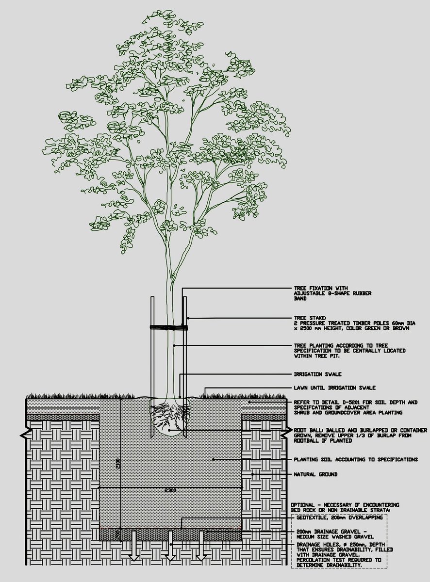 haniembabi73's tweet image. 📌بما أننا نقترب من موسم زراعة الأشجار إليك أهم النقاط التي تبني عليها مستقبلاً نمو الآشجار بشكل جيد وسريع 
أولها مواصفات جورة الزراعة ومكوناتها والسنادات الخشبية وتصريف المياه الزائد إتعب قليلاً وأسترح لاحقاً فهذه أمور هامة يجب أن تتطلع عليها لتتوافق مع متطلباتك