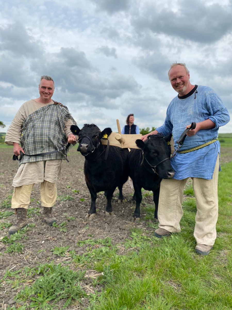 onthefarmc5's tweet photo. Rob and Dave test out some ground breaking technology with Sally-Ann Spence. Moo-ve over horses - it was all about the cows in the Iron Age! ๐ฎ #AFarmThroughTime continues on Thursday, 9pm Channel 5 https://t.co/x64rNuYmLH