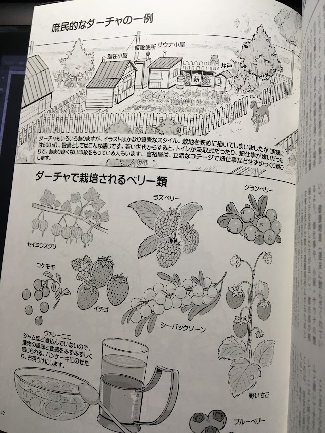 ロシアで砂糖というとサマゴン(自家製蒸留酒)の材料と思ってしまうけど、ダーチャで大量にとれる果物を保存食にする需要の方がずっと多いと思う。果物はシーズンになると食べきれないほどとれるので、腐る前に急いで収穫して保存食にする 