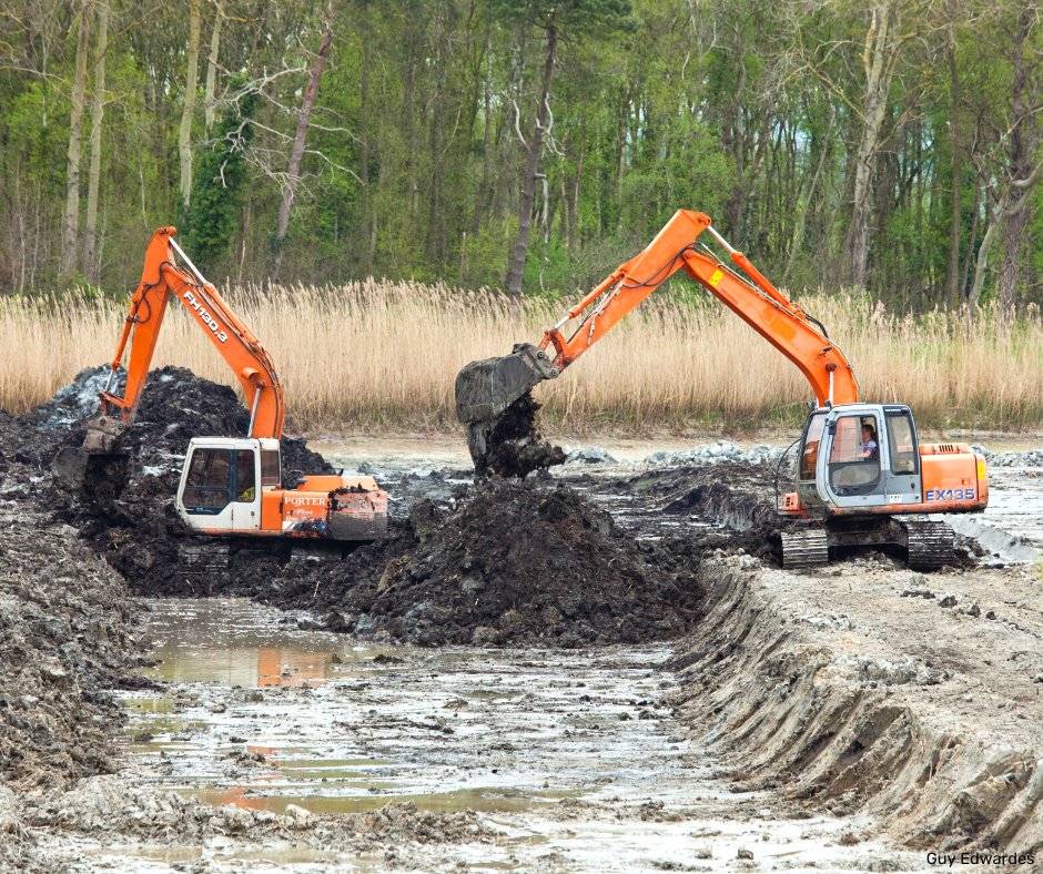 Bogs not bags! 📢

Today, the UK Government has announced that there will be a TOTAL BAN on the sale of bagged peat compost.

We’ve been fighting for this since 1990, and it is a vital first step in the protection of our peatlands!

#SomersetWT #BogsNotBags @g_stokes18 @SWTsteve