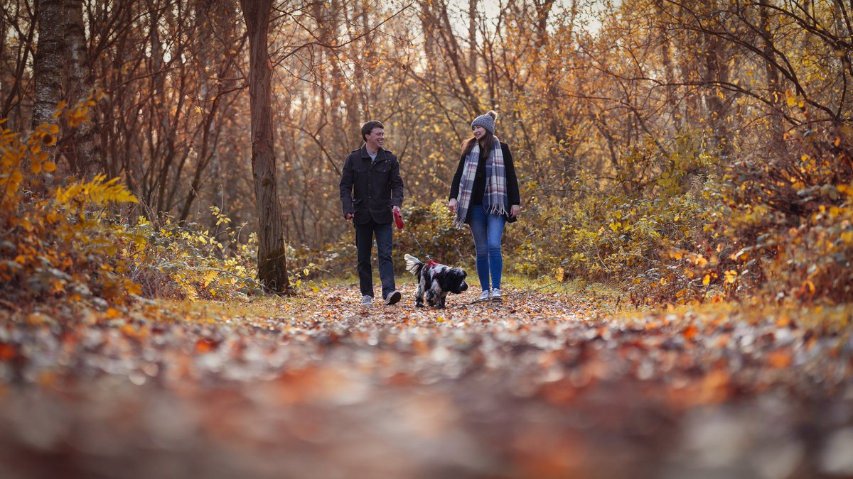 Andrew Scott Photography tweet media