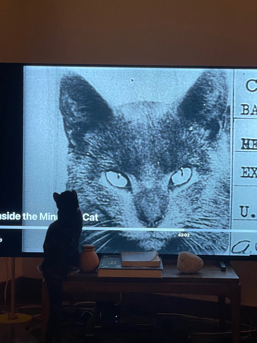 future_fox's tweet photo. Her favorite show https://t.co/NI83hqkPTW