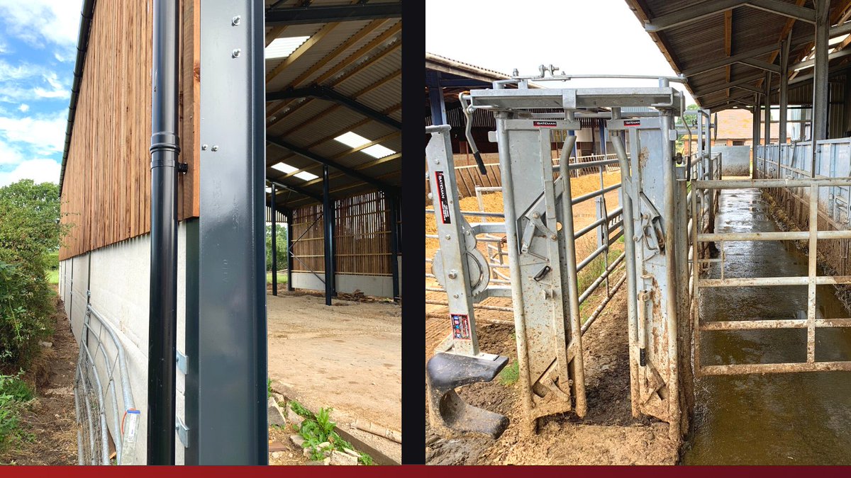 LMBateman79's tweet photo. A new shed measure up allowing a visit to a previous customer and chance to see how all of our equipment is doing 👌
#Madetomeasure
#LMBateman #cattle #farmers #livestockequipment #livestock #Gates #agriculture #farm247 #farming247 https://t.co/9CjkyTt41I