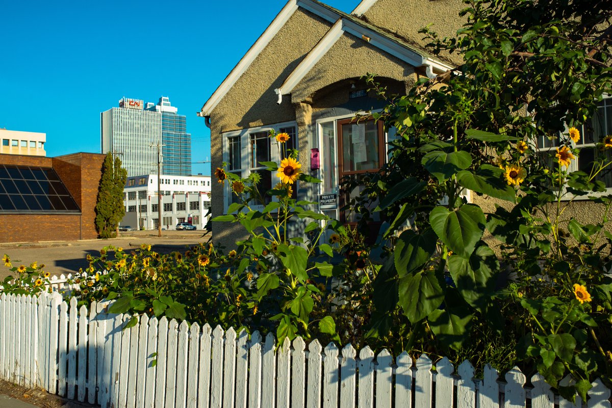 The sunflower house, DT Edmonton.

#yeg #edmontonphotography