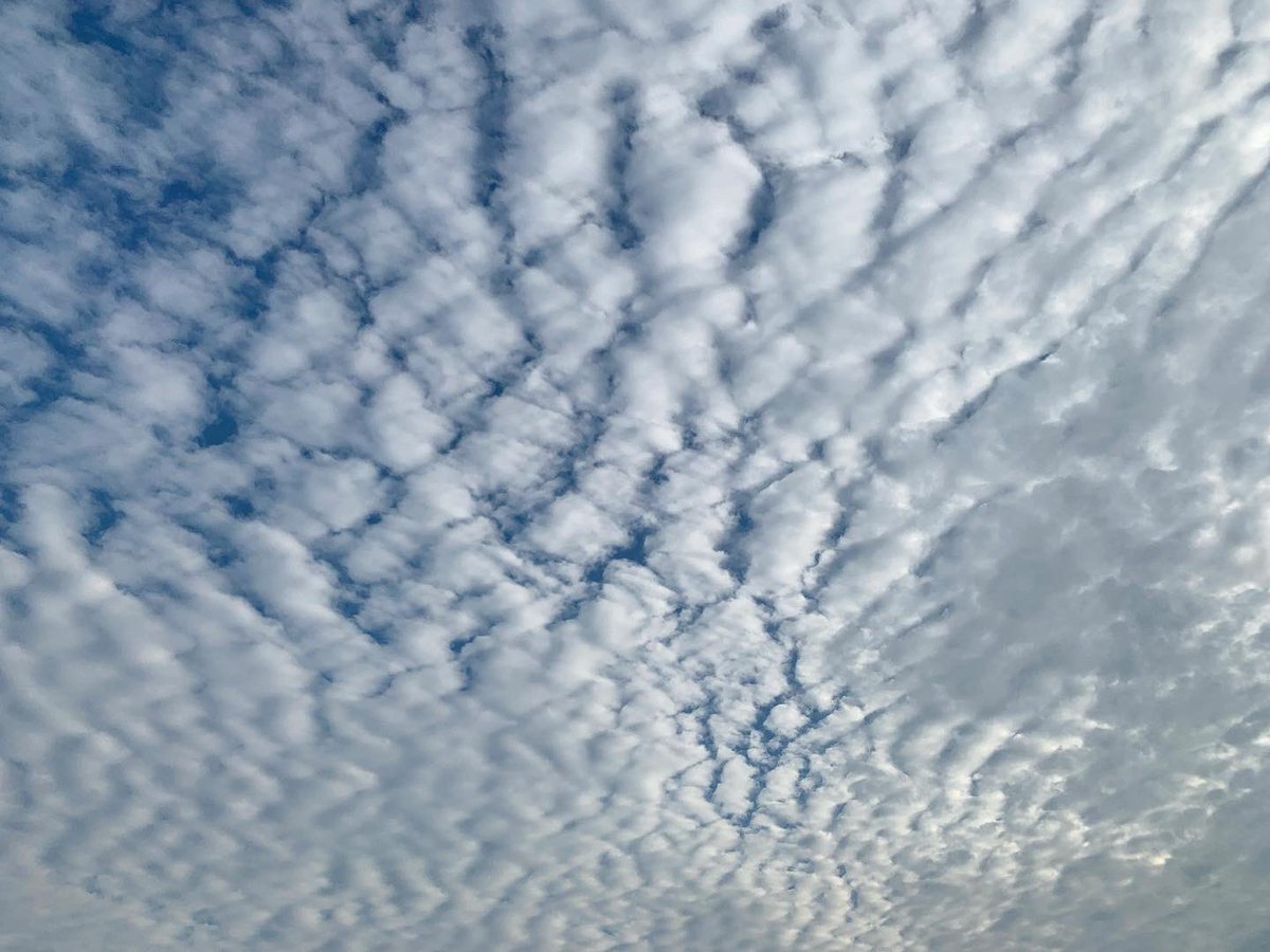 yasuko_2010's tweet photo. ๐
#sky #clouds #eveningsky #sunset #sunsethues #pinkclouds #pinkandgrey #afternoonsky #bluesky #blueandwhite #altocumulus #undulatus #mackerelsky #nofilter https://t.co/5iYiK9Mm5h