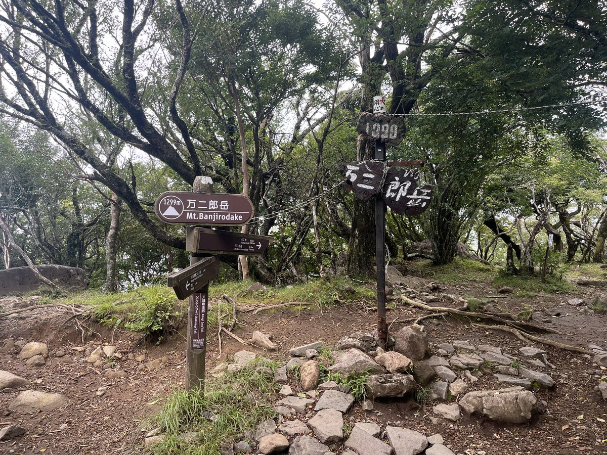 zin11056's tweet photo. 10年ぶりの天城山🏔
前回、来た時はまだYAMAPアプリがなかった。 https://t.co/iEE8tiyHPt