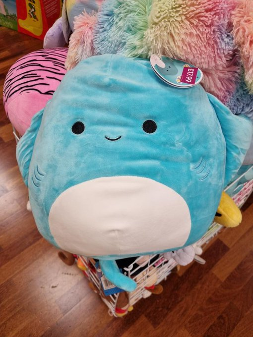 GAMEMancHOF's tweet photo. We got cute little blue Manta Rays as well! https://t.co/nkUdgqmLAW