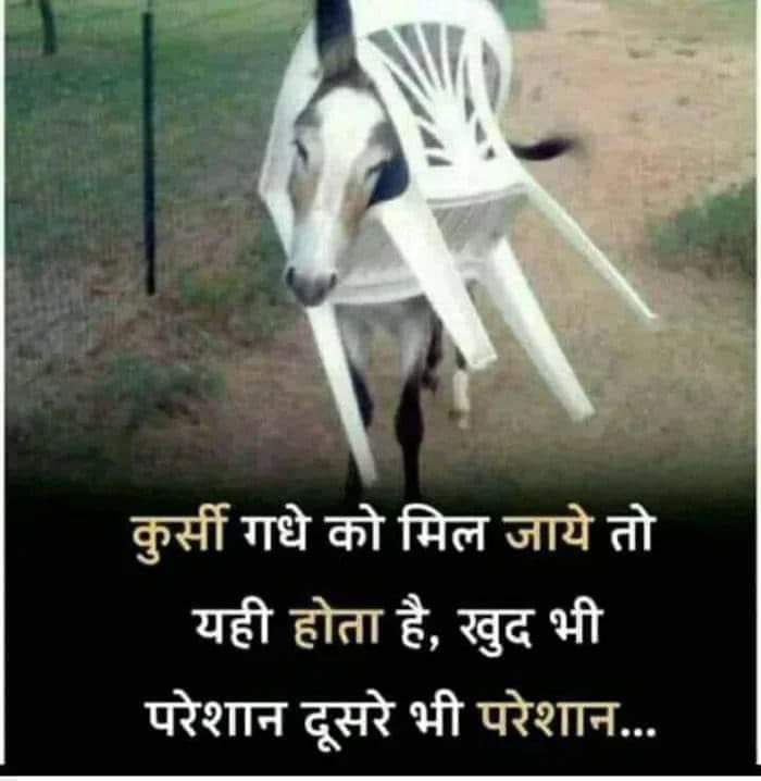 ApnaBHARAT16's tweet photo. 😂😂😂😂 https://t.co/DrATV1JJjb