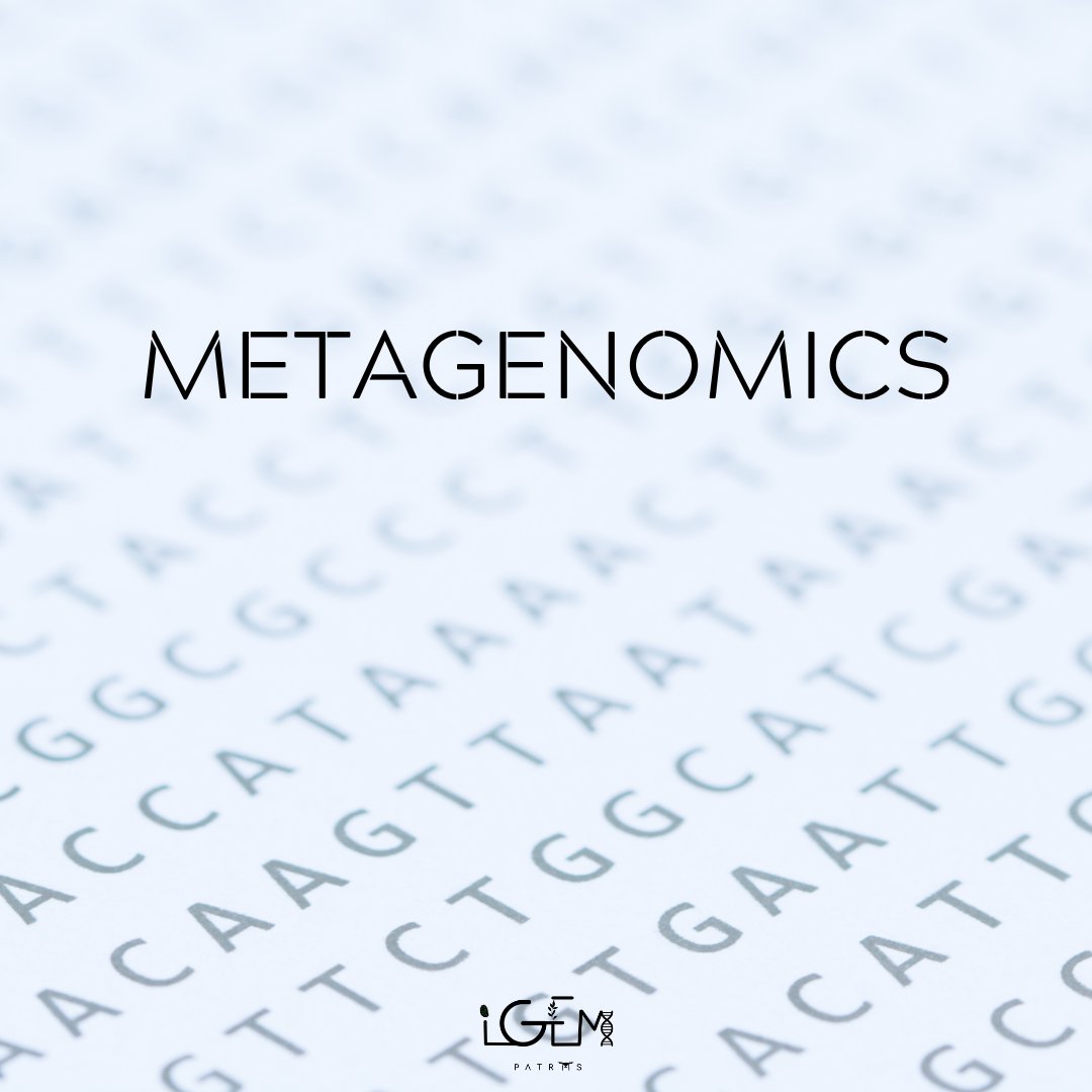 igem_patras's tweet photo. What is metagenomics?🧬

Metagenomics is the study of the structure and function of nucleotide sequences isolated and analysed from all the organisms (usually microbes) in an environmental sample.
Which are the most common methods used by scientists to study microbes?🤔 https://t.co/PHbPgQ0QD7