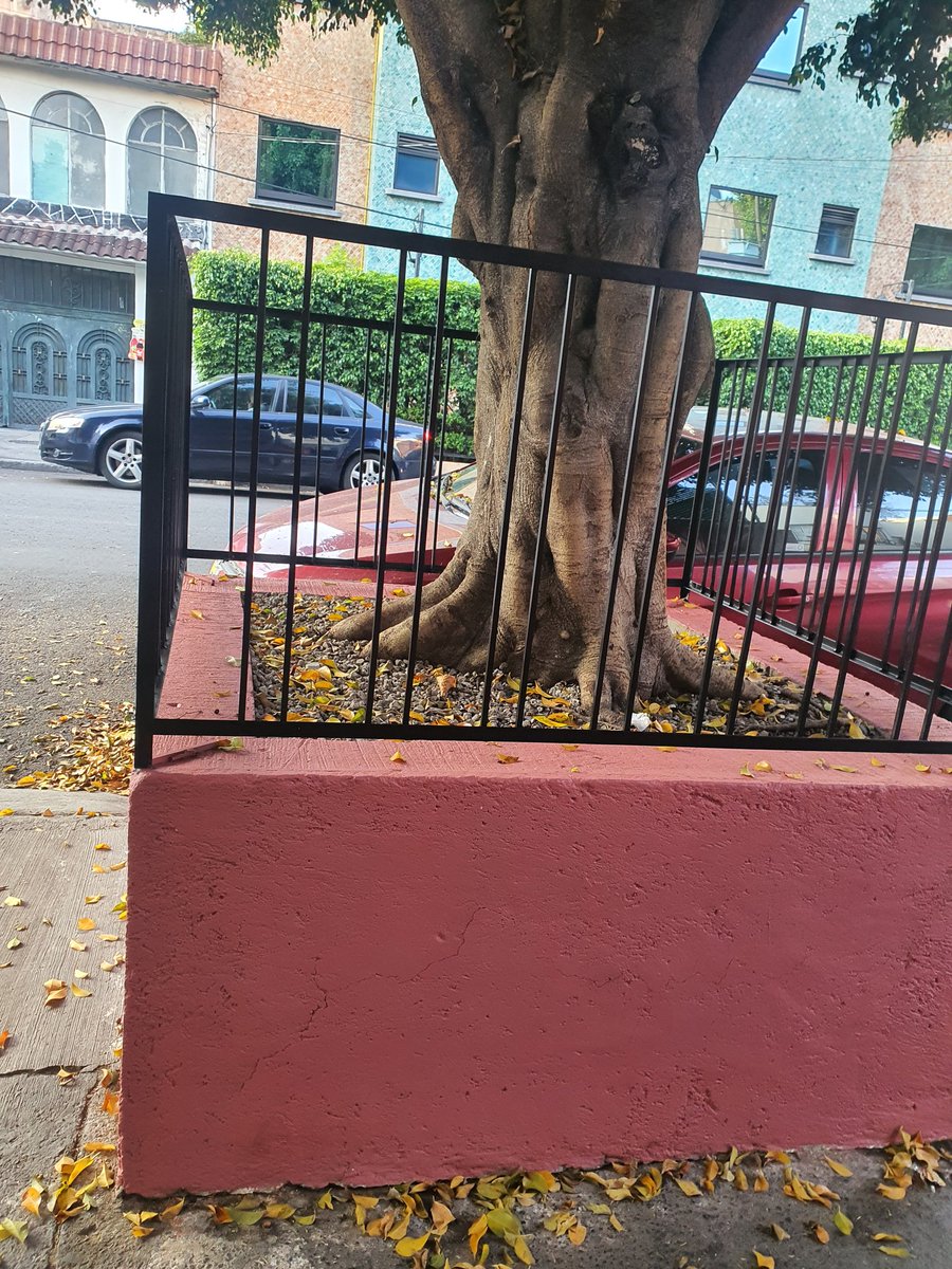 GiselleTrejoVal's tweet photo. @Claudiashein quien permite qué las jardineras estén con barrotes? De quién son? @AlcCuauhtemocMx todas las jardineras en la Roma están así🥺🥺🥺 https://t.co/9riFIzY8sv