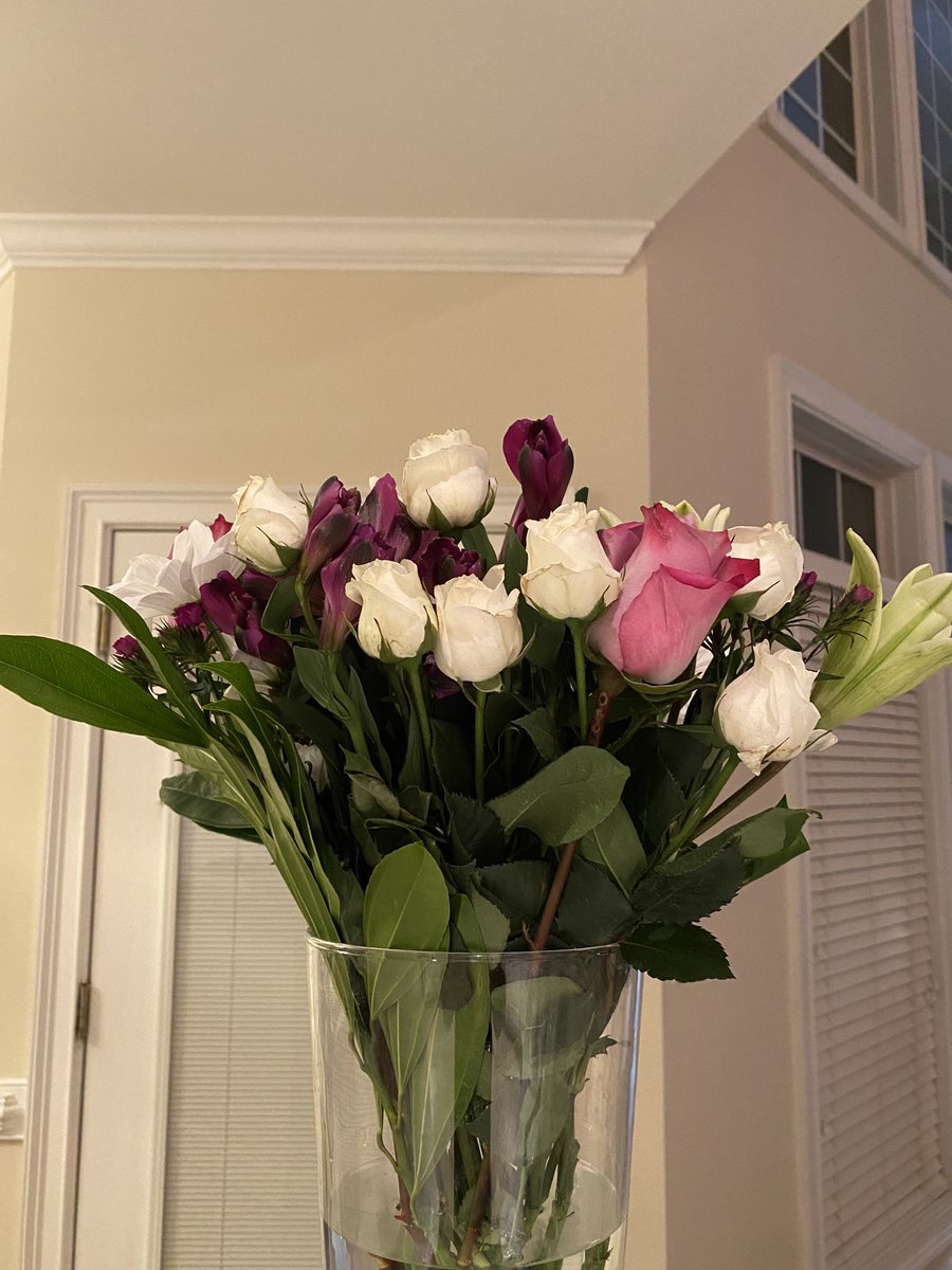 ReflectionsGA's tweet image. Aren’t these beautiful!