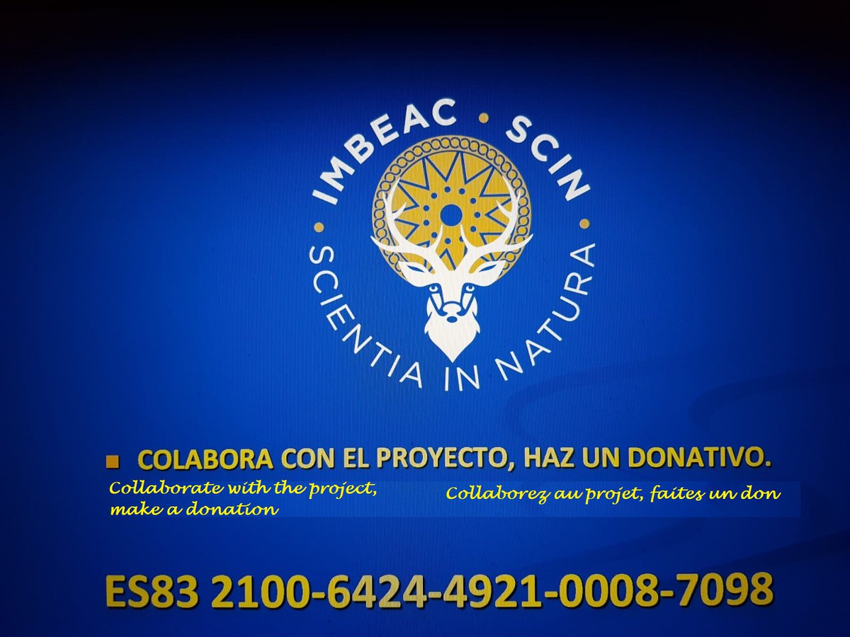 IMBEAC Oficial tweet media