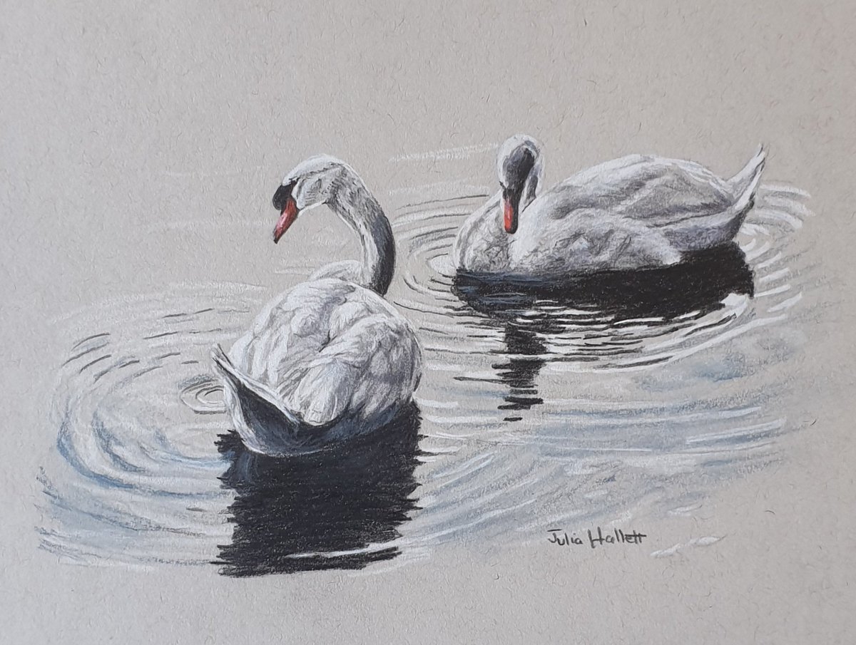 JuliaHallettArt's tweet photo. Final day 10 of #artchallenge thank you @Strupps62 also thanks to all who have liked and commented on my work it is encouraging for artists who spend much time alone.
This small picture was drawn in #polychromas coloured pencils on toned grey paper, really enjoyed this one https://t.co/x4AuDCnaQK