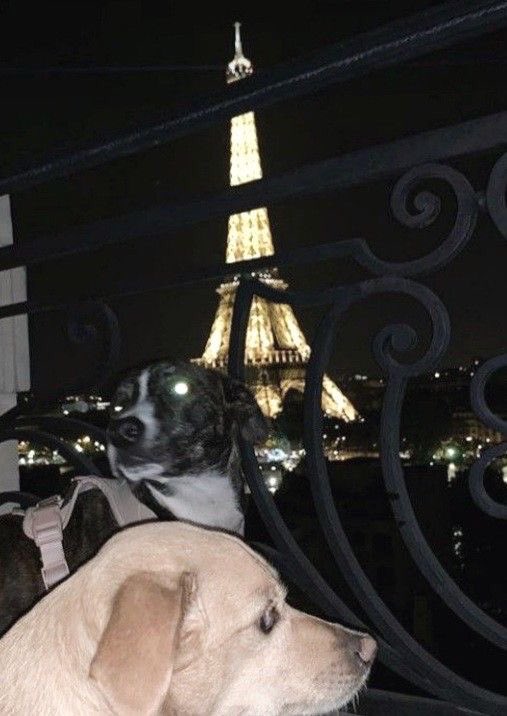 moonlightcleo's tweet photo. ari in paris 3yo ago for the swt <3 #ArianaGrande #swtparis #sweetenerworldtour https://t.co/8MbAl6DN0o