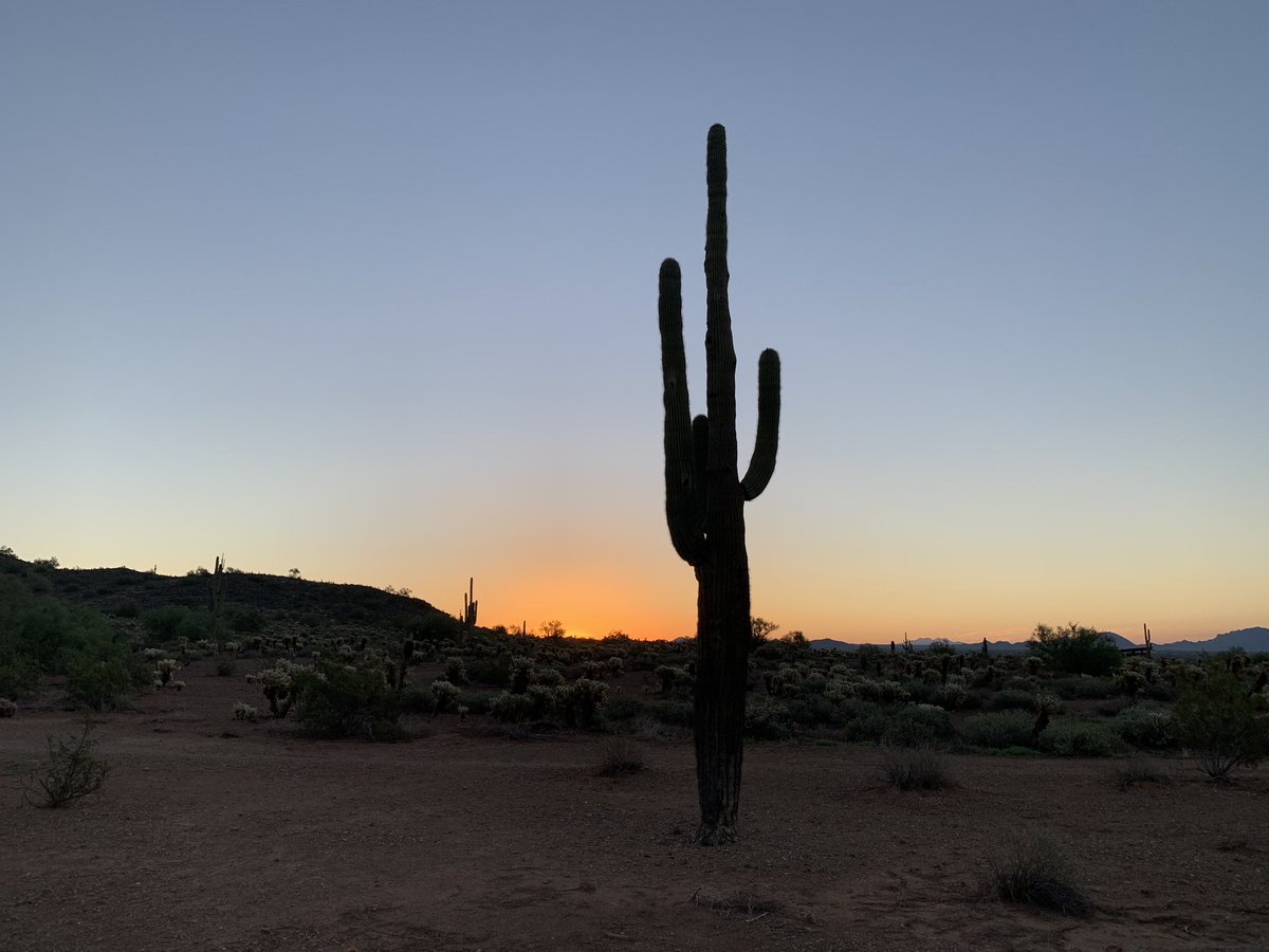 DougNintzel's tweet photo. The Desert’s Wake Up Call in north Phoenix. On the road this weekend? Please stay alert and avoid distractions. @ArizonaDOT @NWSPhoenix https://t.co/oM4kySRVNF