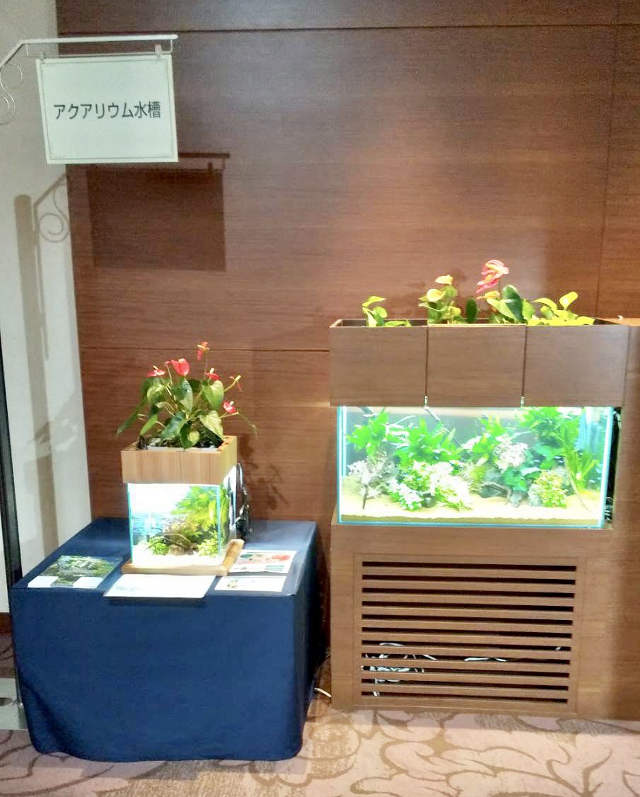 せせらぎビオトープ 西条庭園 水換え不要水槽 Saijyou Teien Twitter
