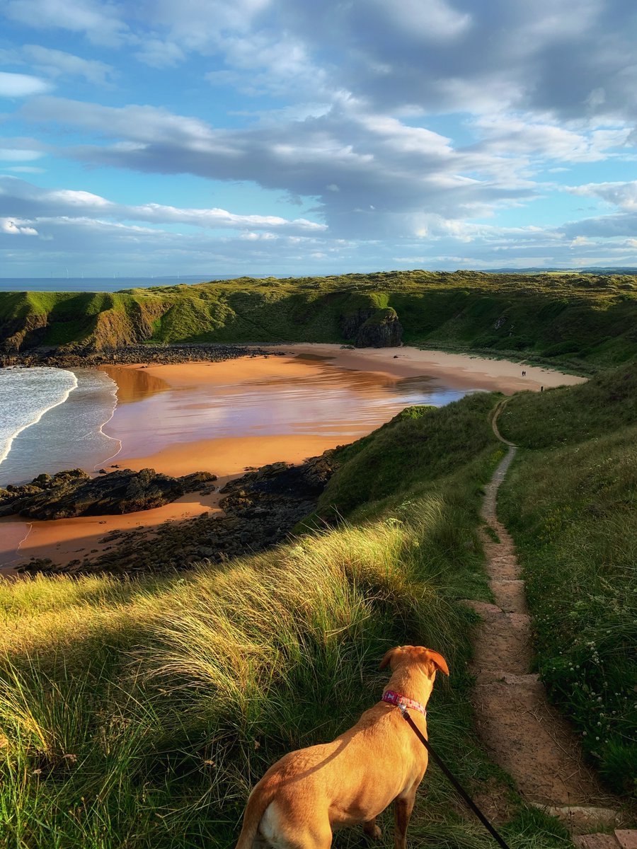 folknstory's tweet photo. Hackley Bay, Aberdeenshire 🌊

#Scotland @VisitScotland @visitabdn https://t.co/rjYKjSlpu6