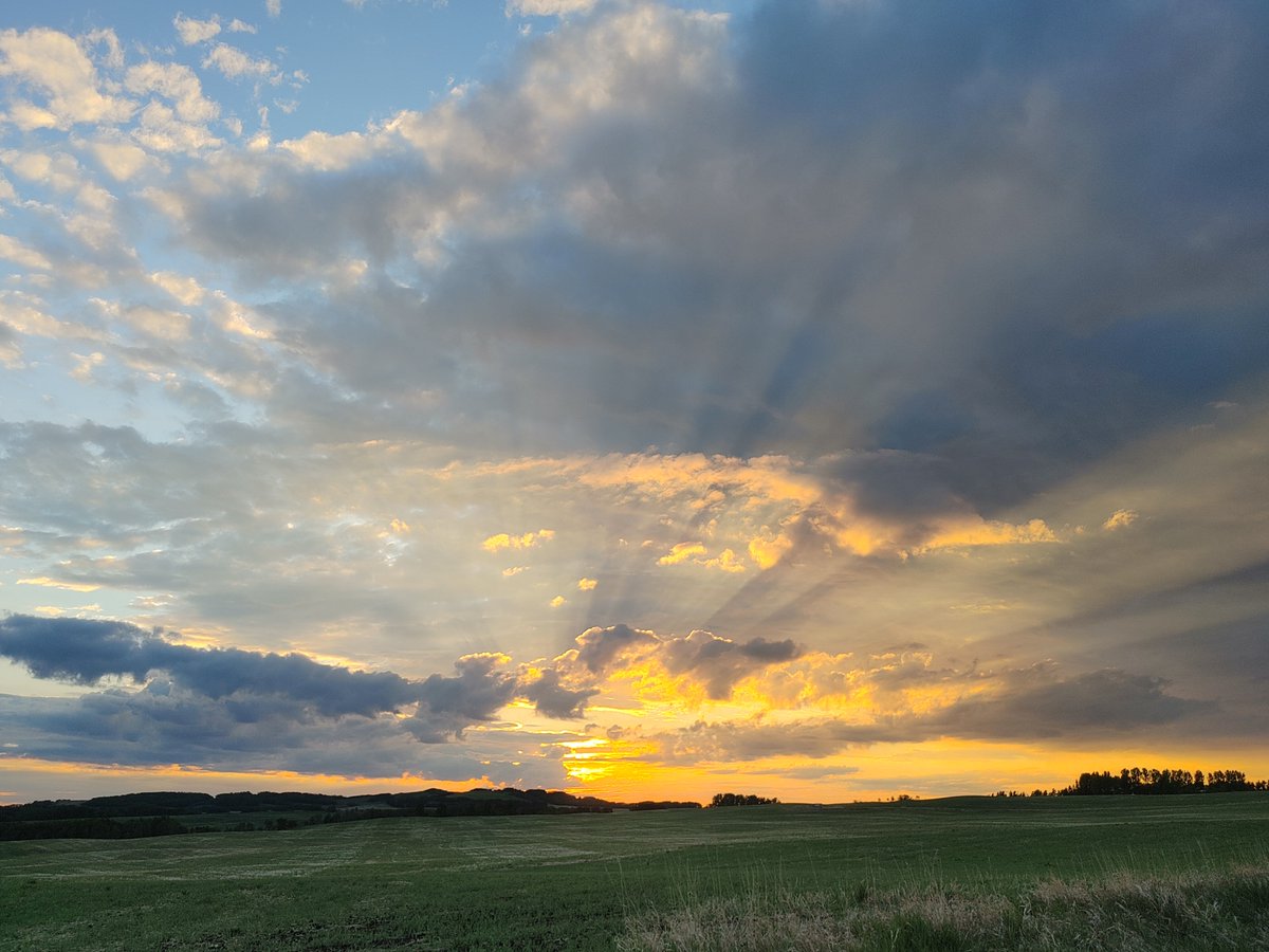 KnightlyMike's tweet image. Isaiah 60:1
“Arise, shine; for your light has come,
And the glory of the LORD has risen upon you.