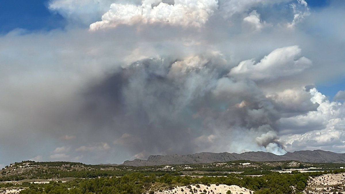 🔴Declarado un incendio forestal en la Sierra Larga entre #Jumilla y #Cieza

Más de un centenar de efectivos trabajan en este momento en su extinción. 

📻Te mantenemos informados en nuestros boletines horarios 
orm.es