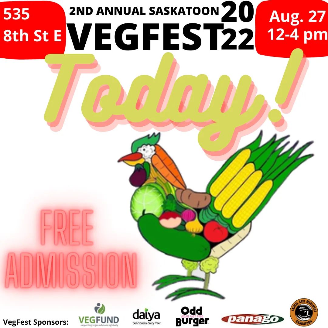 ASMSaskatoon's tweet image. It's today! Join us at 535 8th St. E (St. Joseph's Parish Hall) on the corner of Broadway and 8th. We've got speakers, performers, vendors, non-profits and a vegan BBQ. See you there!

#saskatoon #yxe #summer #festival #vegfest #vegfund #WoDES #plantbasedtreaty #vegan