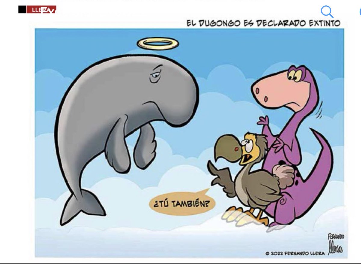 ernesto_mendez's tweet photo. El #dugongo es declarado funcionalmente extinto
Vía @Excelsior https://t.co/ADkxsRyotC