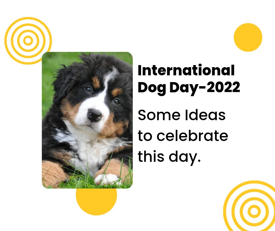 PetGarden4's tweet photo. International dog Day

#DogDay2022 #InternationalDogDay2022 #DogDay #InternationalDogDay
 https://t.co/Lfg5Z3qG3c https://t.co/bEXGJ43MdR