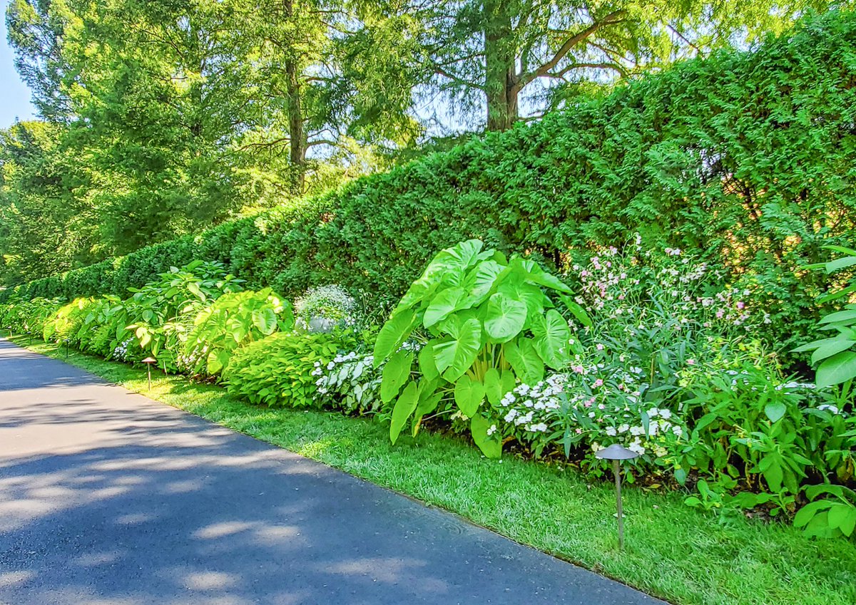 longwoodgardens's tweet photo. #HappySaturday https://t.co/BF3h67GYYq