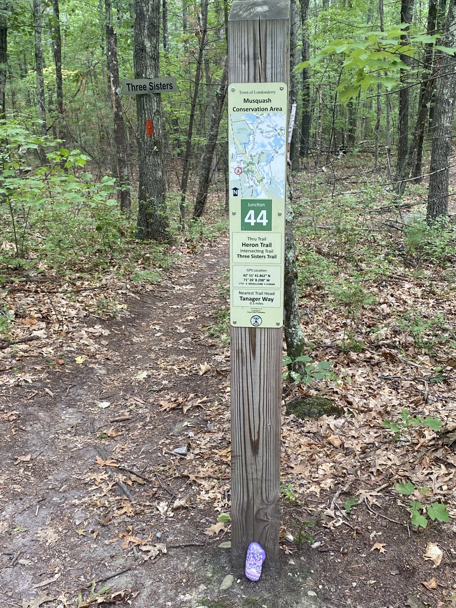 gratefulrunner's tweet photo. Back on my B.S. and someone placed a psychedelic rock on the trail. You canโt make this stuff up. #trailrunning #deadforlife https://t.co/h25PBbRWDX
