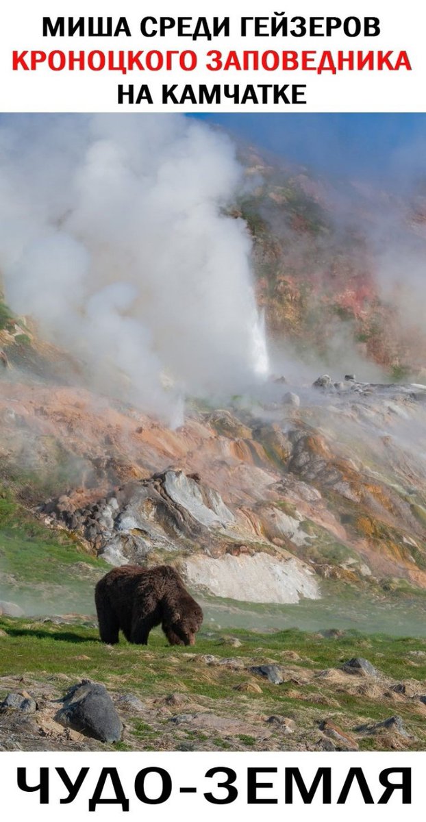 Красоты России tweet media