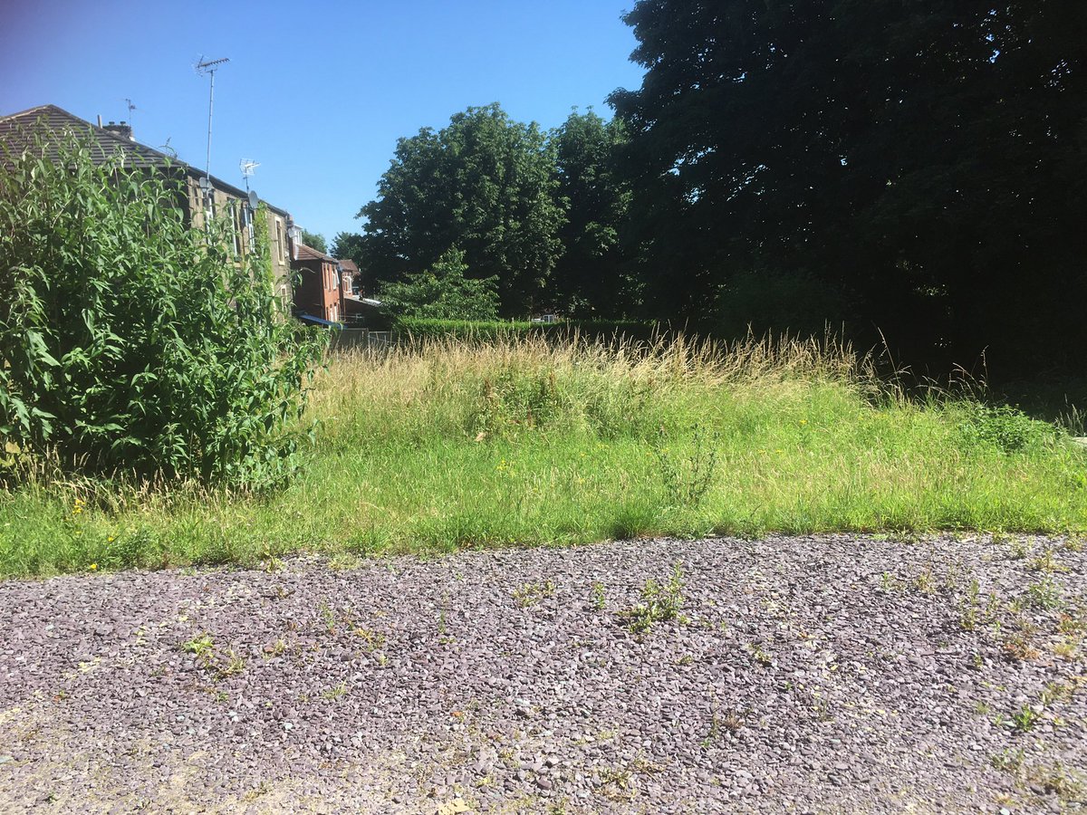 Bramley Trinity tweet media