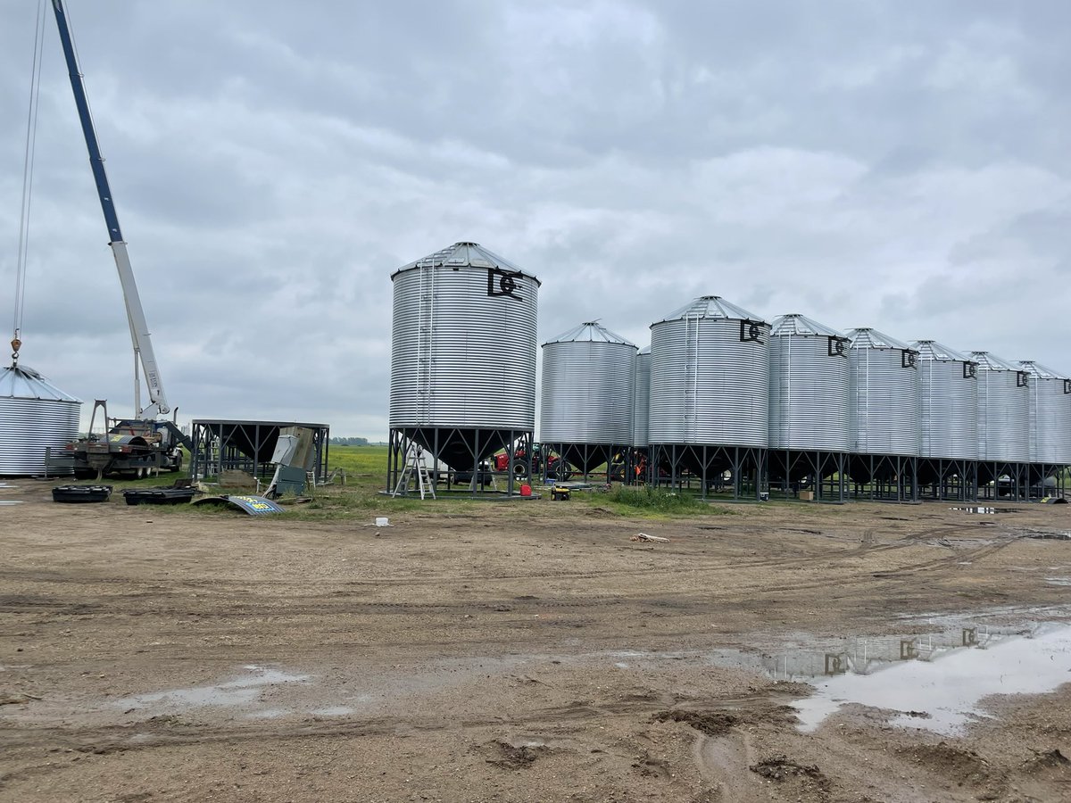 Some fresh bins in place of the ones that blew away 🌪