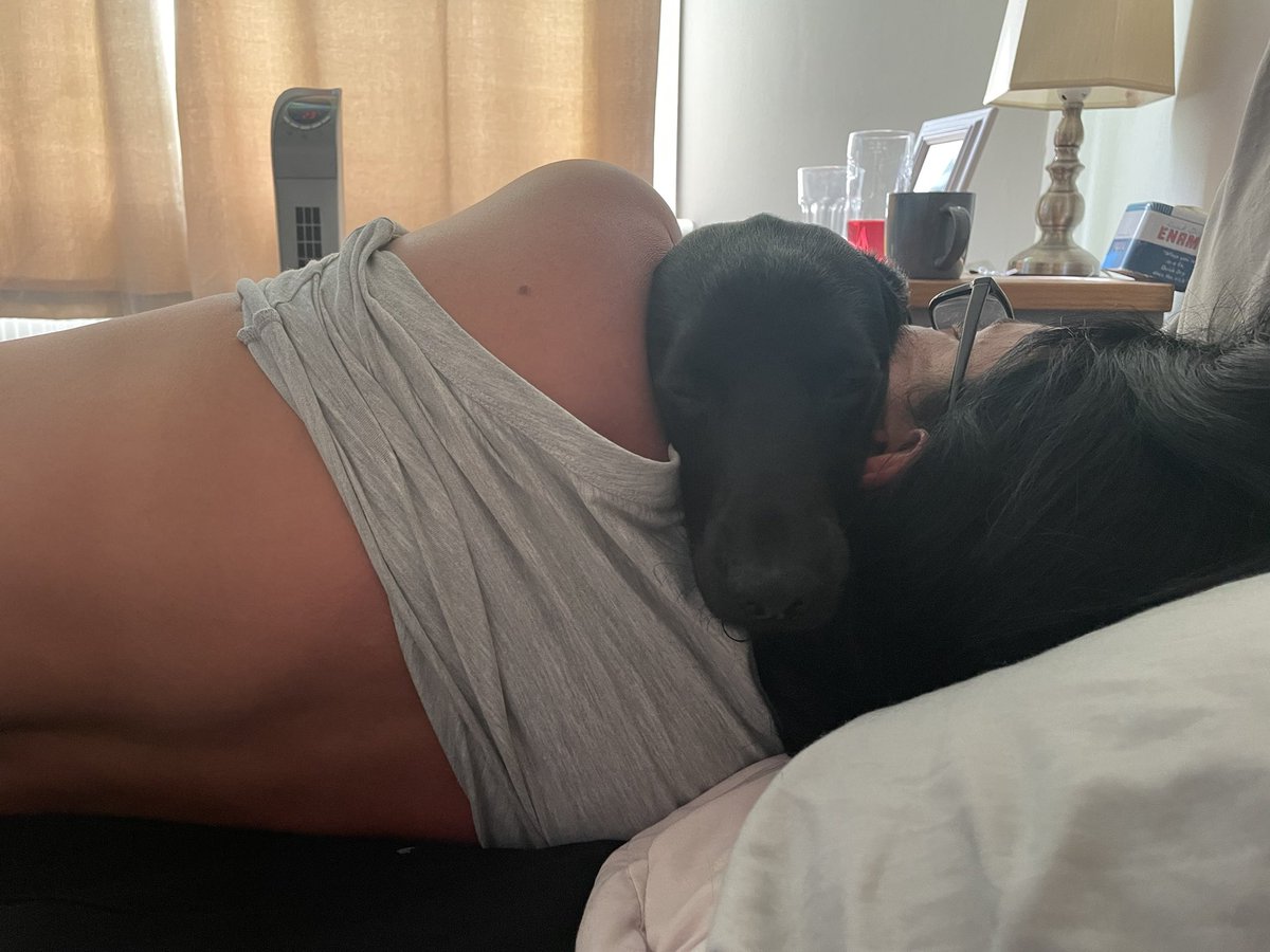 Abbie Marchment tweet media