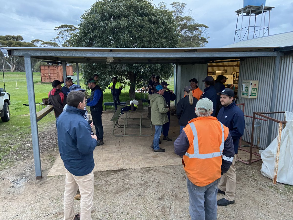 David Pfeiffer tweet media