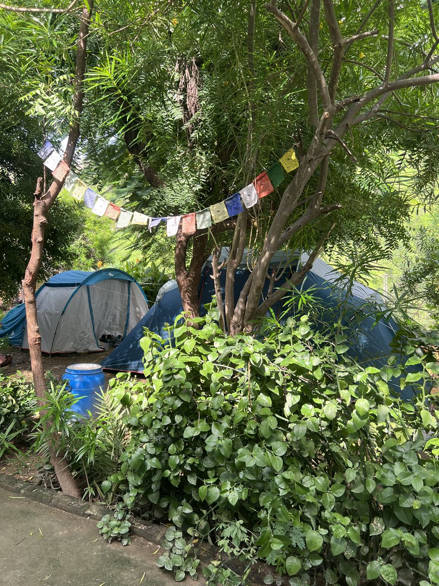 Digification_'s tweet photo. Looks like optimism and positivity are flowing with the monsoon. ❇️🤟
Look at our ADMCP 22J outdoor class, full of insightful discussions and creative thinking.☀️
#Digification #ADMCP #DigitalMarketing #LearnDigitalMarketing #Rajasthan #Udaipur #Marketing #OutdoorClassroom https://t.co/L5gur6NFb7