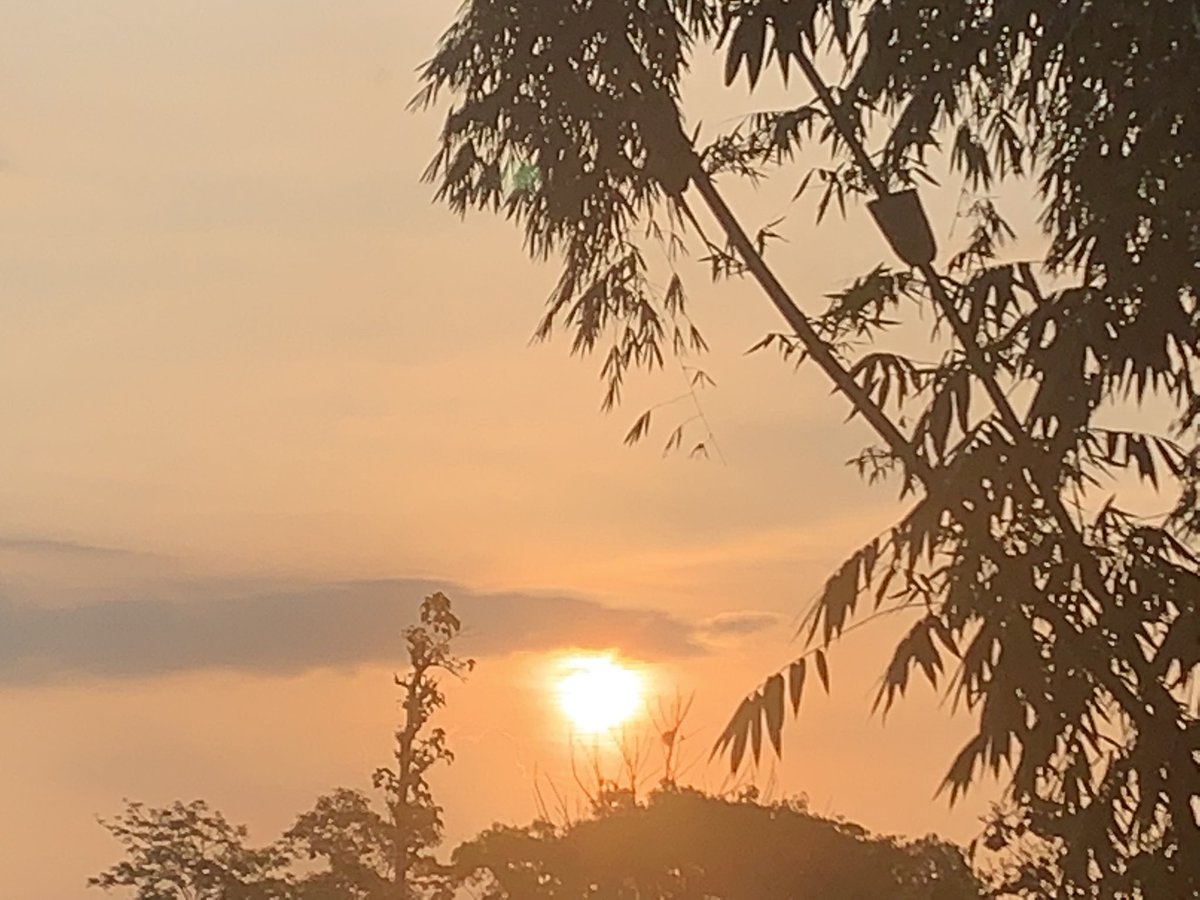 _kopipena's tweet photo. Mengenalkanmu pada Senja. Pada keindahan yg sementara, akan tetapi sarat makna. https://t.co/tA6ccC3Thv