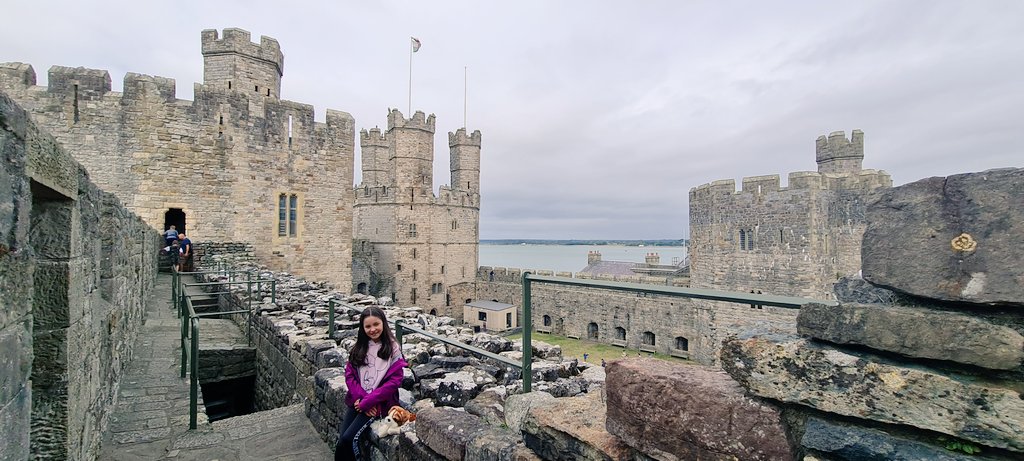 ladydignam's tweet photo. Ella really enjoyed visiting Caernarfon Castle @MrsWilliamsSM https://t.co/Dtqc89FqdP