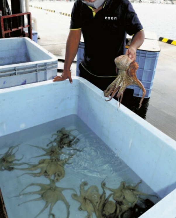 明石の釣り Deps1007 Twitter