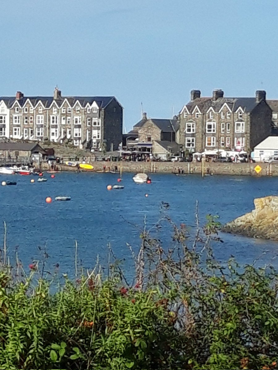 GarethCook17's tweet image. Saturday morning walk #barmouth #wales